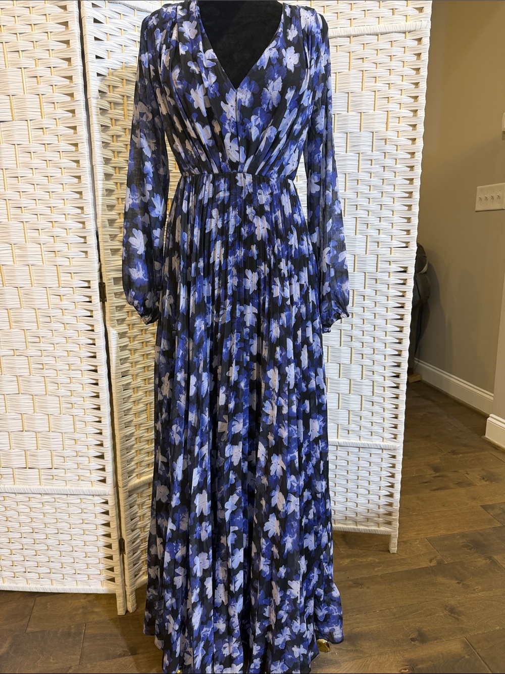 Monique Lhuillier Navy and Blue Floral V-Neck Maxi Dress